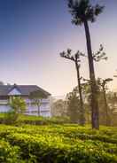 Primary image Tea Harvester Munnar