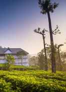 Primary image Tea Harvester Munnar