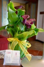 その他 4 Hotel La Torre