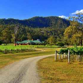 Primary image 1 Ascella Organic Wine, Singleton Villas