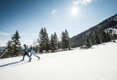 其他 5 Alpenhotel Tirolerhof