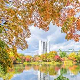 Primary image 1 Premier Hotel Nakajima Park Sapporo, Sapporo Hotels