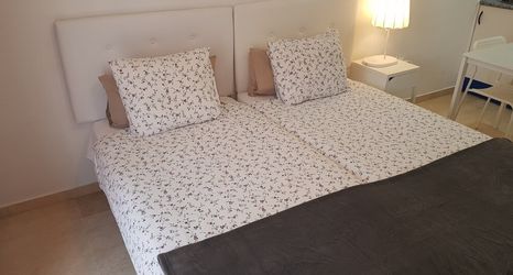 Others 2 Fan Flat Mariscal