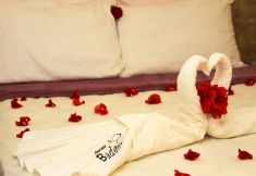 其他 5 Pousada Badejo