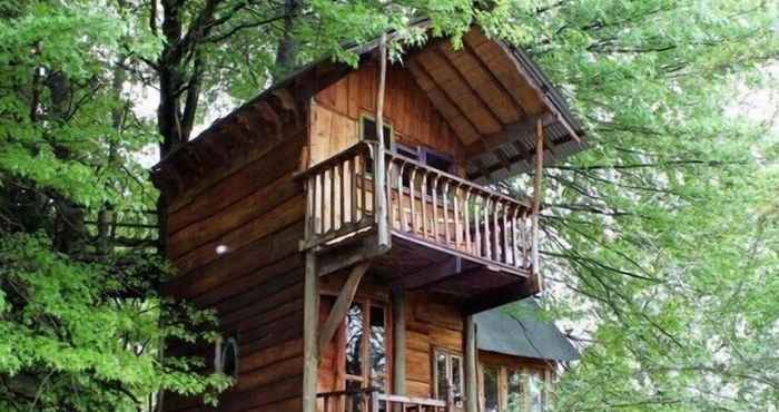 Khác Sycamore Avenue Treehouses