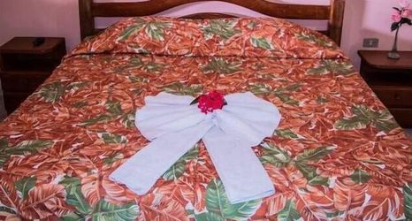 Others 2 Pousada Marisol