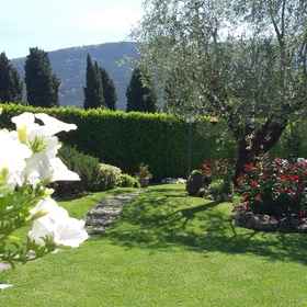 Primary image 1 Villa Del Papa, Santo Stefano dei Cavalieri Pisa Hotels