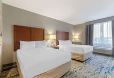 Others 6 Comfort Inn & Suites