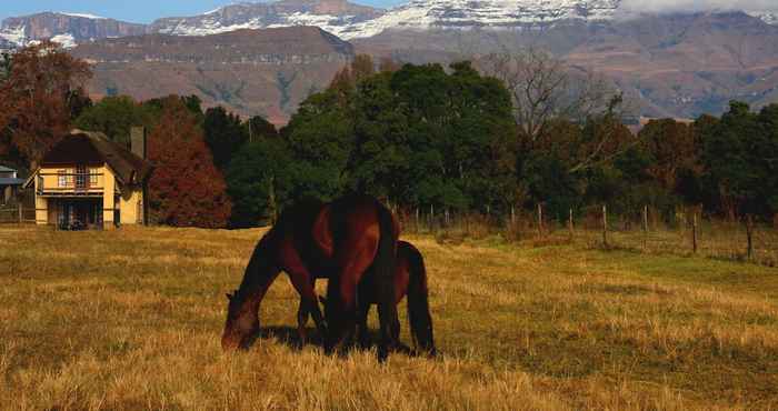 Others Ardmore Guest Farm