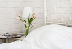 其他 4 Too-good Apartments