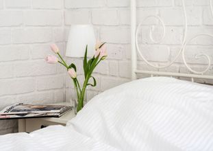 其他 4 Too-good Apartments