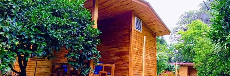 Others Simge Pension