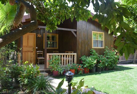 其他 Caretta Caretta Pension