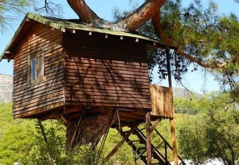 その他 Olympos Woods - Adults Only