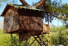 その他 Olympos Woods - Adults Only