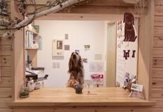 其他 2 Pension Gooseberry