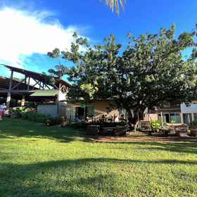 Primary image1Pousada Simpatia da Ilha,州长卡洛斯·威尔逊机场 (FEN)飯店