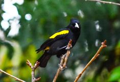 その他 4 Pousada Ana Terra