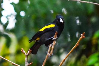 その他 4 Pousada Ana Terra