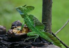 其他 5 Mirador Prendas