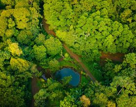 其他 4 Mirador Prendas