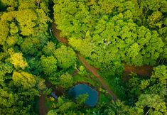 Others 4 Mirador Prendas