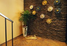 อื่นๆ 4 Alpinresort Damüls