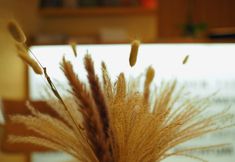 อื่นๆ 3 Alpinresort Damüls