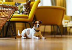 其他 7 Hotel Meudon