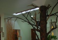 Lainnya 4 Hotel Lanjarón