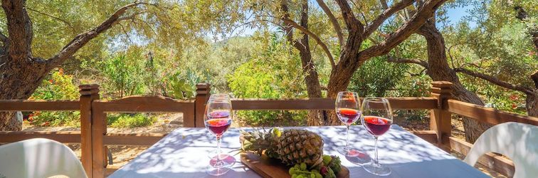 其他 Olympos Mocamp Kas