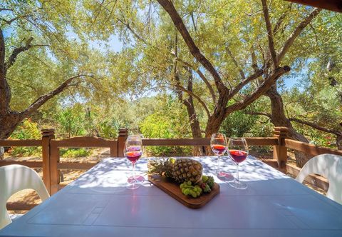 其他 Olympos Mocamp Kas