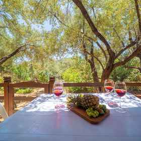 Primary image 1 Olympos Mocamp Kas, Hotel Kas Kekik Apart