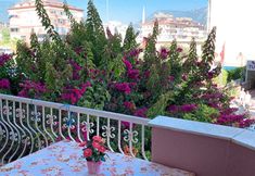 其他 7 Bella Rose Apart Hotel