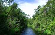 Lainnya 4 Rimba Orangutan Eco Lodge