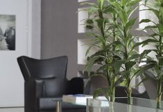 Lainnya 7 Entes Apart