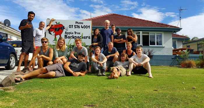 Khác Apple Tree Backpackers