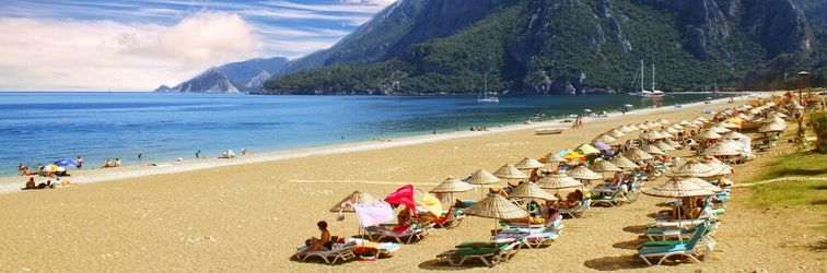 Others Alican Pension