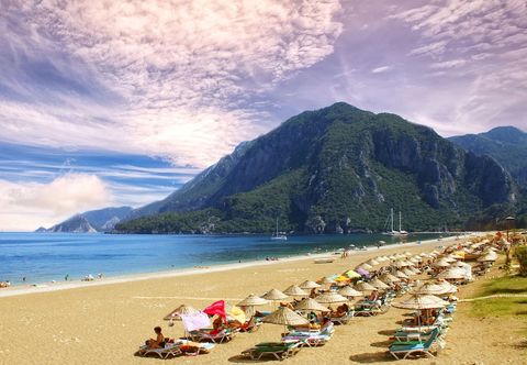 Others Alican Pension