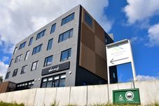 기타 Always Niseko