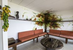 その他 4 Pousada Porto dos Milagres