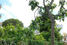 Others Giardino Sorrentino