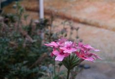 อื่นๆ 3 PungGyeong, Korea Traditional House