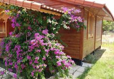 其他 4 Murathan Konaklari