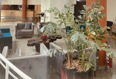 기타 3 Beach Class Fortaleza By AM