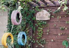 Others 5 Shanghai Joyful Star Hotel