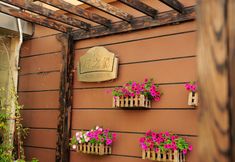 Others 4 Shanghai Joyful Star Hotel