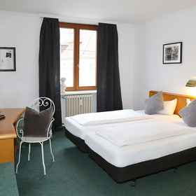 Primary image 1 Auerstein Dependance, Gasthof und Pension zum Löwen Hotels