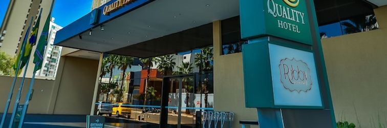 Others Quality Flamboyant Goiania