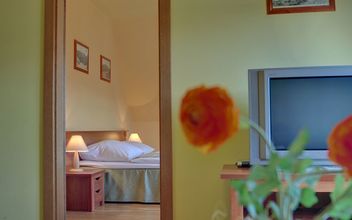 기타 4 Willa Serafin